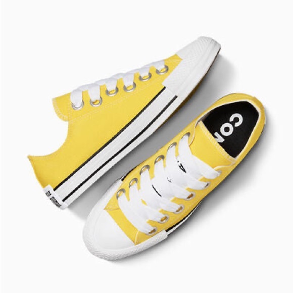 Converse Chuck Taylor All Star Low 'Sketch - Golden Wren'  A10360F - Picture 2 of 13